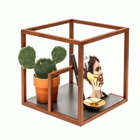 Text shelving unit