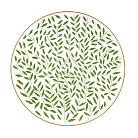 dinner plate cm 27 green