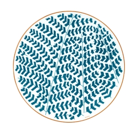 dinner plate cm 27 blue