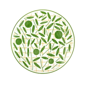 dessert plate cm 21 green