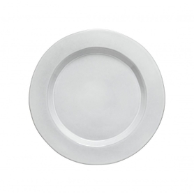 6 dinner plates cm 29