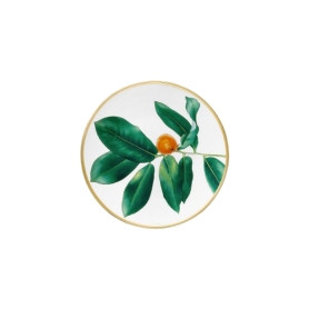 set of 2 bread and butter plates