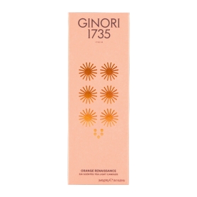 Refill 6 T-light orange renaissance