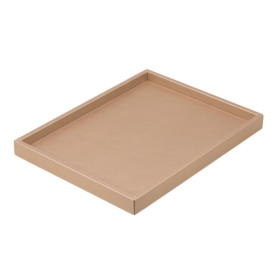 Tray Osvaldo TV012