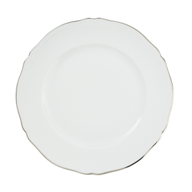 6 dinner plates