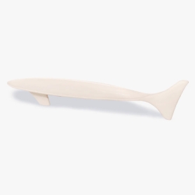 shark presentation tray