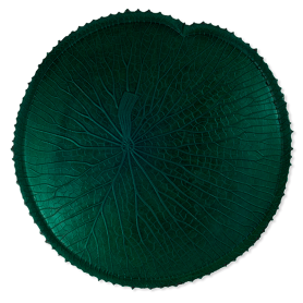 centerpiece caoutchouc leaf