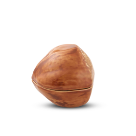 Hazelnut box