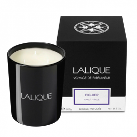 Fig Tree, Amalfi - Italy, Figuier Scented Candle, 600g