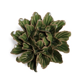 porcelain avocado green peony JA26