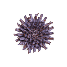 porcelain violet blu fleur de lis JA22