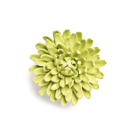 porcelain yellow green Pompom EG43