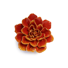 Orange Yellow Coreopsis FR31