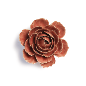 Champagne Pink English rose FR39