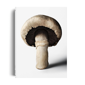 The Gourmand's Mushroom. A Collection of Stories and Recipes