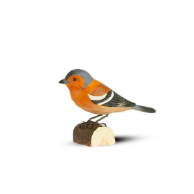 ViaGaribaldi12 - Wilds