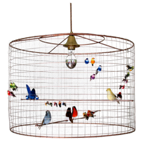 Cage aux Oiseaux