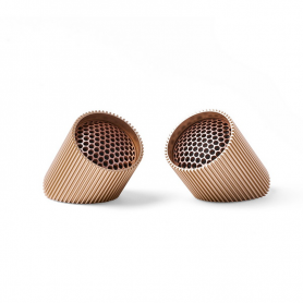 coppia speaker magnetici Ray gold