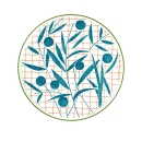 piatto frutta cm 21 blue