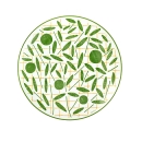 piatto frutta cm 21 green