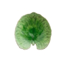 piattino foglia Alchemilla cm 18  