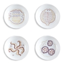 set 4 piatti fondi cm 19
