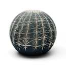 pouf Tattoo cactus