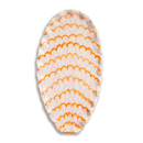 piatto conchiglia cm 35
