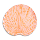 piatto conchiglia cm 30,5