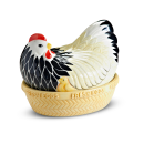 gallina porta uova con pulcino