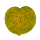 placemat foglia verde e giallo